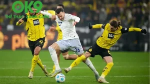 borussia dortmundv hoffenheim 24 12 g 1200 001009