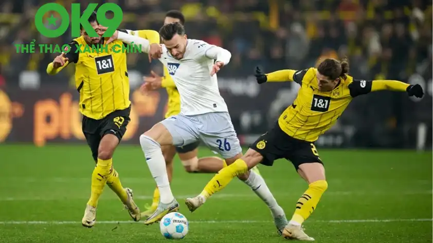 borussia dortmundv hoffenheim 24 12 g 1200 001009