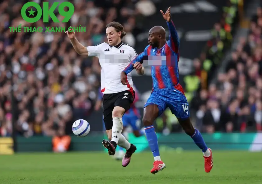 jvv6z6i7dvjqdjjagaoyoxzbgi 002005